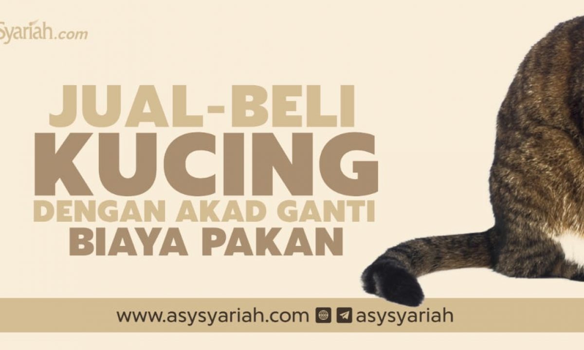 Jual Beli Kucing dengan Akad Ganti Biaya Pakan - Majalah Islam Asy 