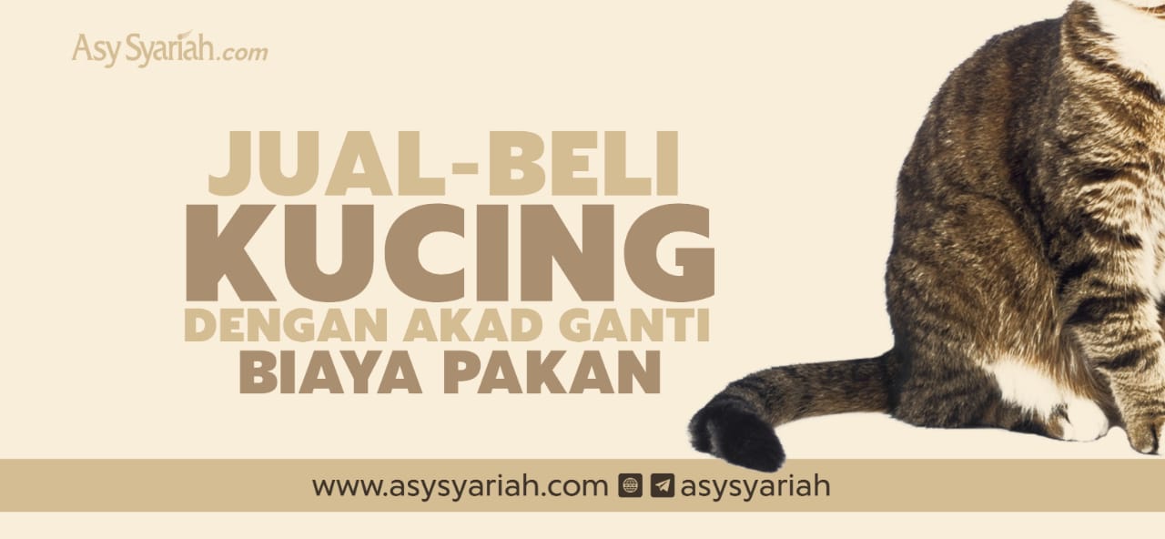 Jual Beli Kucing dengan Akad Ganti Biaya Pakan - Majalah Islam Asy 